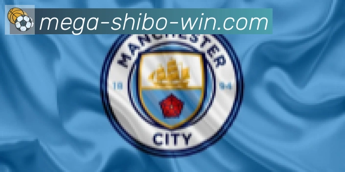 世博体育官网合作伙伴